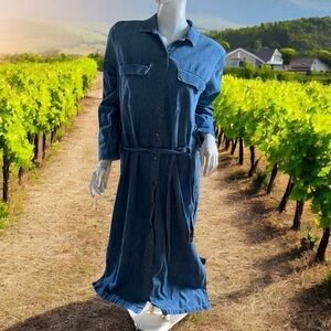 ❄️ 50% off winter GAP 1969 vintage jean long sleeve collar button down dress M